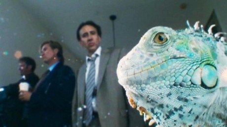 Cage photobombing an iguana