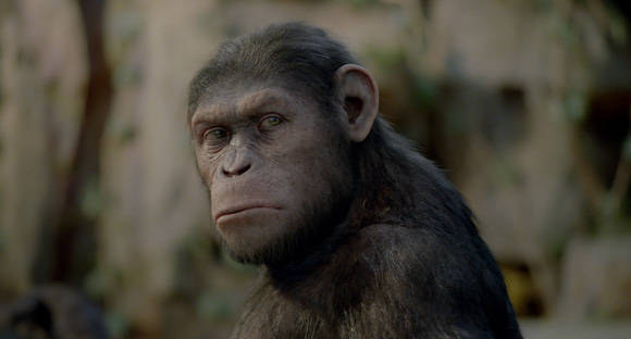 Caesar of the Apes