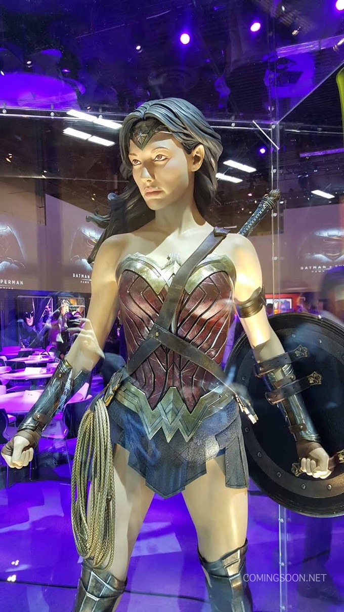 BvS Wonder Woman costume 