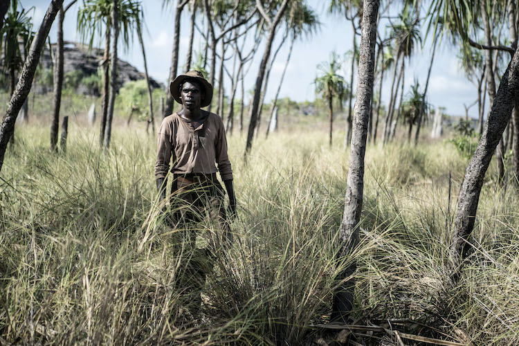 Jacob Junior Nayinggul as Gutjuk in the adventure/drama film, HIGH GROUND, a Samuel Goldwyn Films release. Photo Courtesy of Samuel Goldwyn Films.