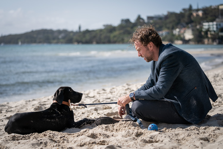 (L-R) Rafe Spall as Teddy and Ronny Chieng as Sam in the romantic comedy film, LONG STORY SHORT, a Saban Films release. Photo courtesy of Brook Rushton.