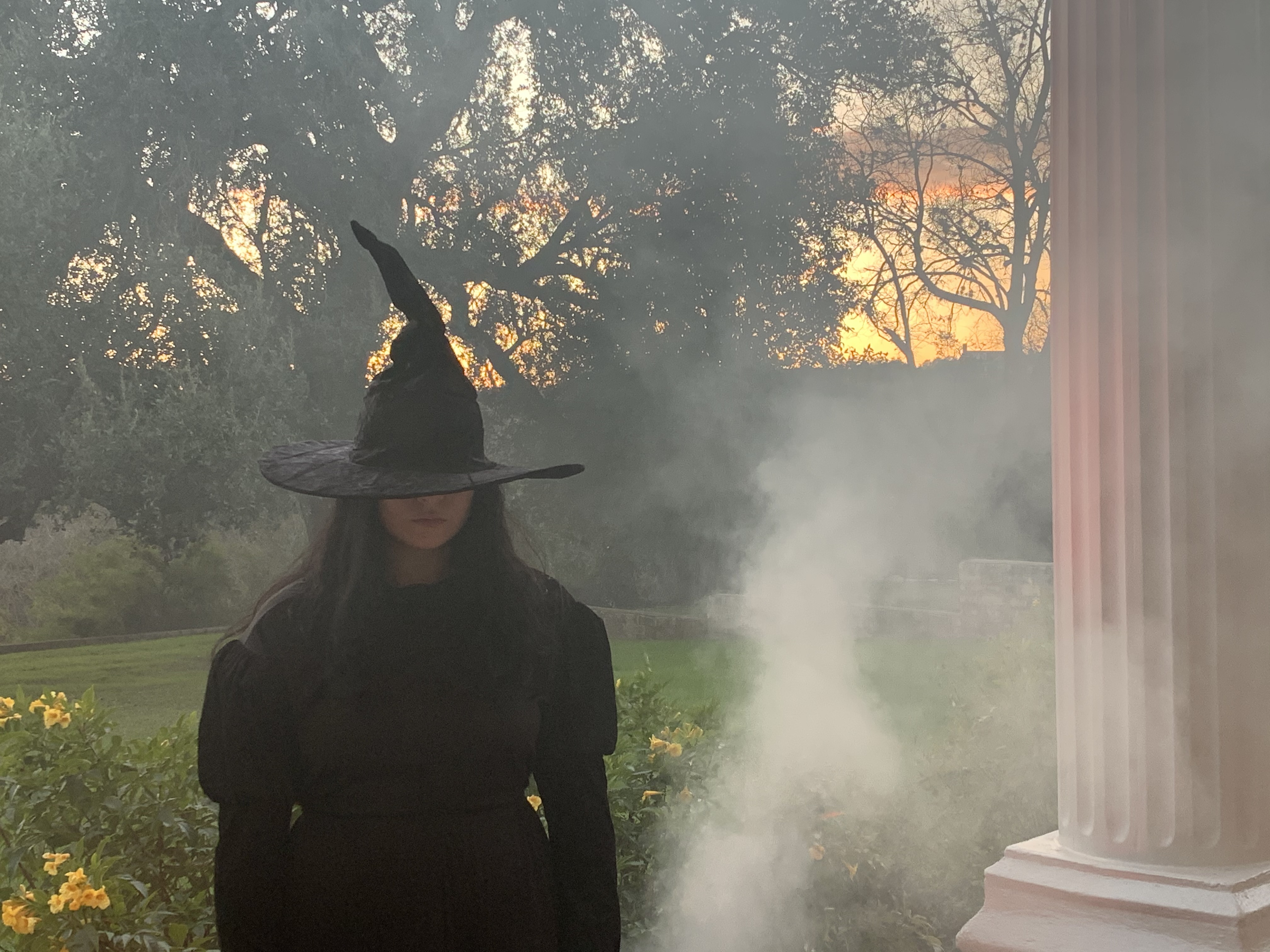 A witch awaits the GRETEL & HANSEL screening