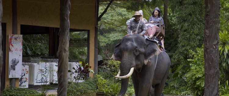 Elephant riding in THE LAST TOURIST