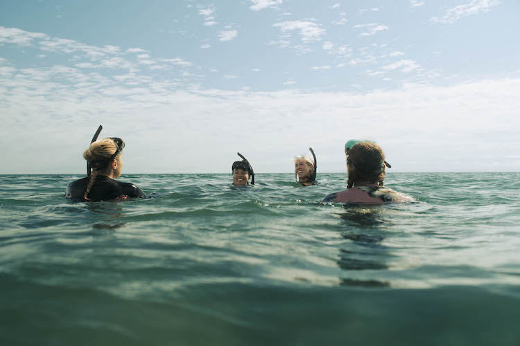  (L-R ) Teressa Liane as Nic, Ann Truong as Jodie, Kate Lister as Lisa and Saskia Archer as Annie in the horror film THE REEF: STALKED, an RLJE Films/SHUDDER release. Photo courtesy by RLJE Films and Shudder