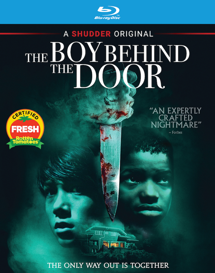 Box art THE BOY BEHIND THE DOOR